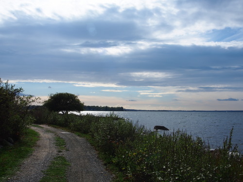 Blithewold against the sea