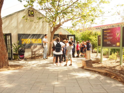 A school group entering the spider pavilion